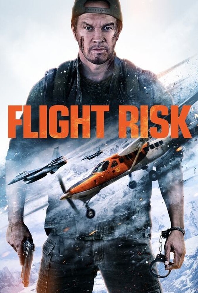فیلم خطر پرواز Flight Risk 2025
