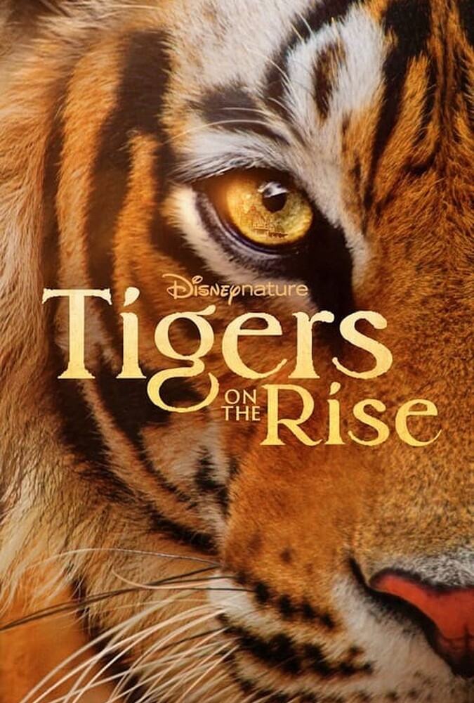 فیلم ببرهای در حال ظهور Tigers on the Rise 2024