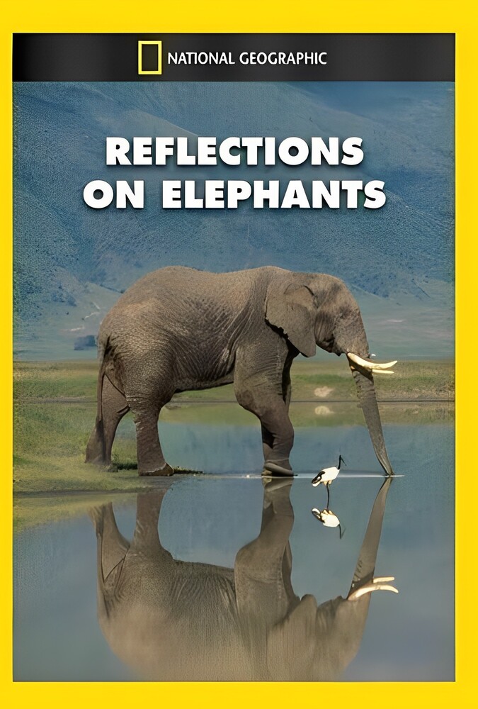 فیلم بازتاب فیلها Reflections on Elephants 1996