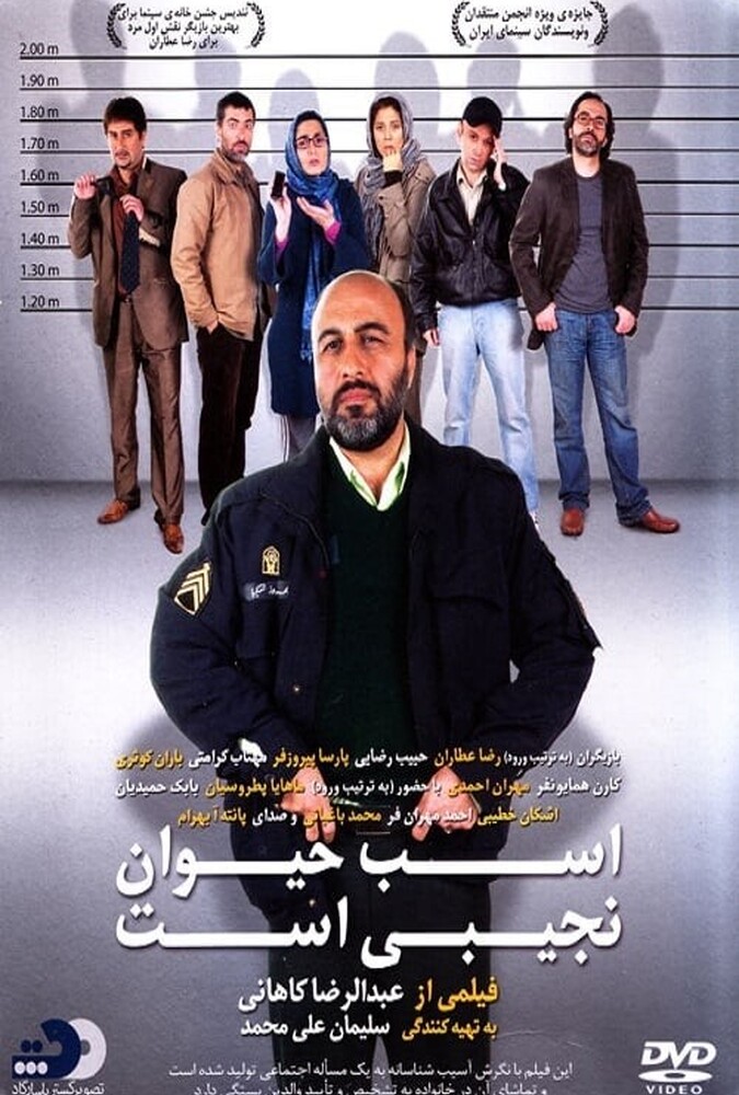 فیلم اسب حیوان نجیبی است Absolutely Tame Is a Horse 2011