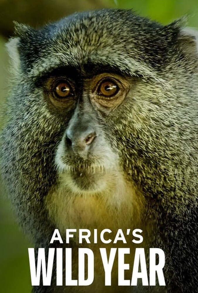 سریال سال حیات وحش آفریقا | Africa’s Wild Year
