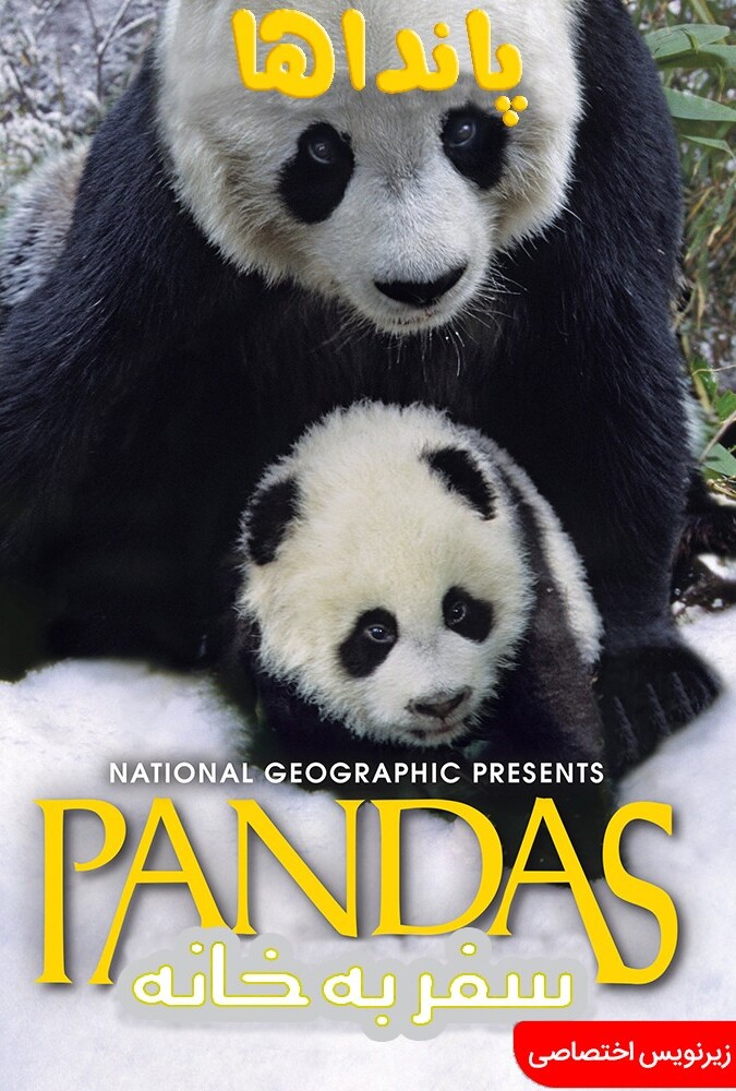 فیلم پانداها: بازگشت به خانه Pandas: The Journey Home 2014