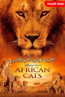 گربه های آفریقایی