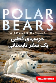 خرسهای قطبی : یک سفر تابستانی